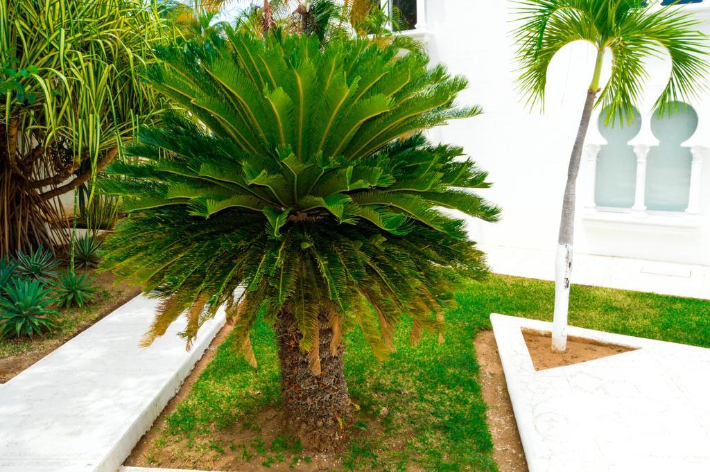 Hotel Aldea del Bazar&Spa Puerto Escondido  Exterior foto